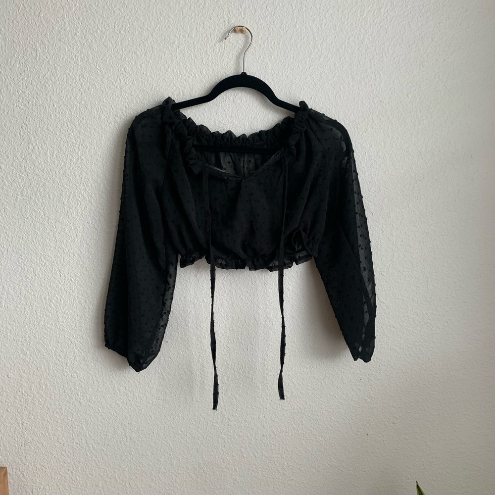 Black Sheer Crop Top